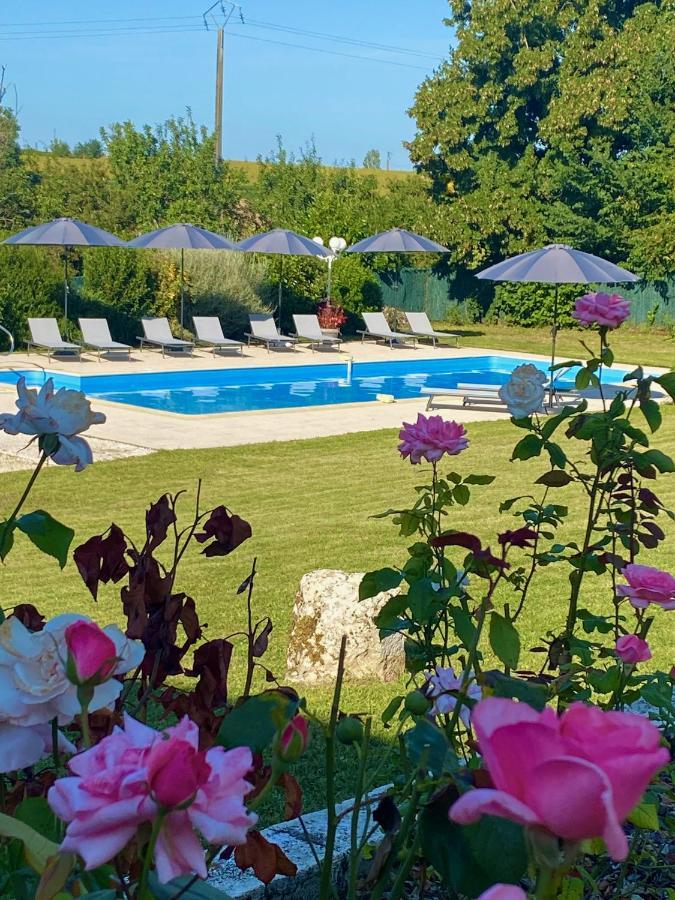 Le Petit Bleu Chambre D'Hotes Bourg-de-Visa 外观 照片